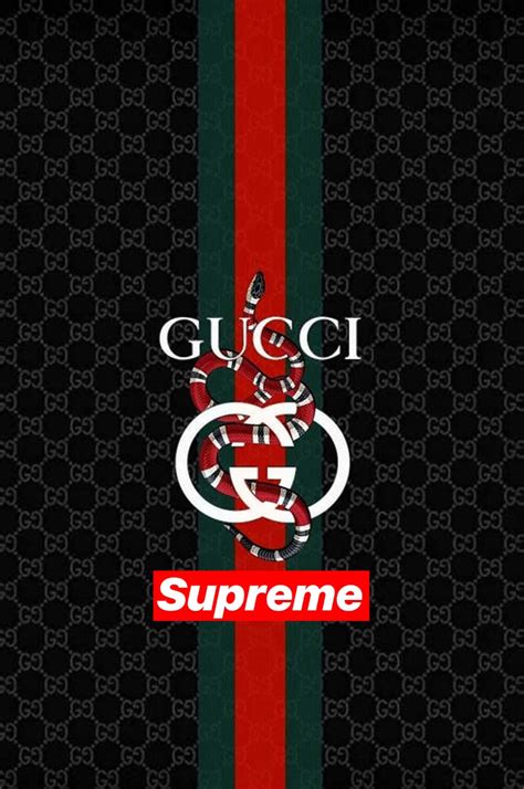 supreme gucci png|Gucci and supreme background.